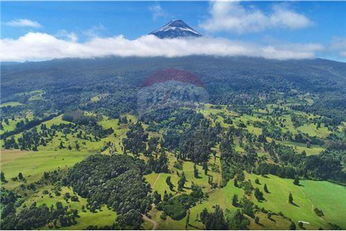 Parcelas De 5.000 M2 Acceso Al Lago Llanquihue