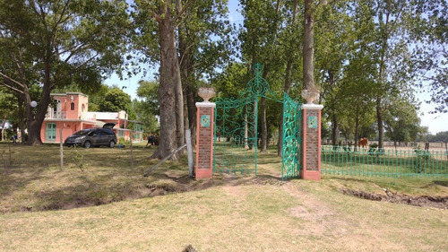 Imagen 2 de 28 de Hermosa Casa En Alquiler Temporario