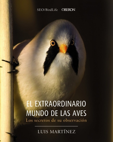 Libro El Extraordinario Mundo De Las Aves - Martinez, Luis