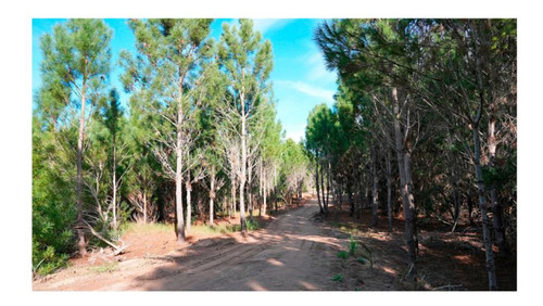 Northbeach Lotes Venta Pinamar