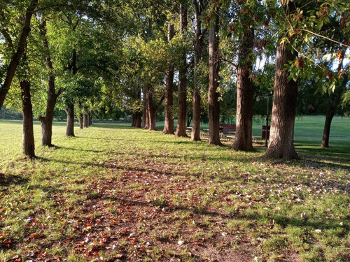 Imagen 2 de 13 de Campo 3 Hectáreas En Venta!!!otamendi