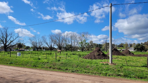 Navarro - Lote De Terreno - Excelente Oportunidad