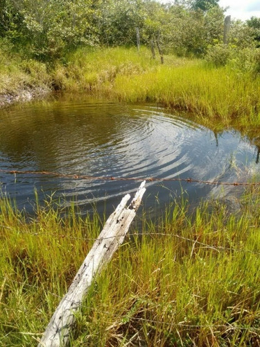 Imagem 1 de 27 de Fazenda Com 377 Tarefas Em Morro Do Chapéu - Bahia - Afd015 - 70334233