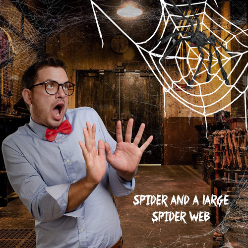Araña De 30cm Y Telaraña Gigante De 7m Decoración Halloween