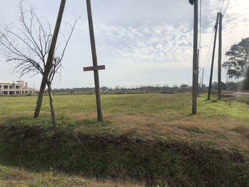 Imagen 1 de 5 de Terreno En Venta En Lobos