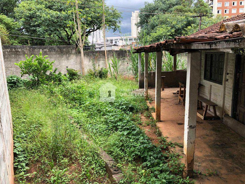 Imagem 30 de 30 de Terreno, Jardim Londrina, São Paulo - R$ 1.43 Mi, Cod: 1649 - V1649