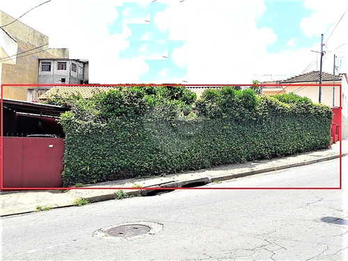 Imagem 3 de 14 de Terreno-são Paulo-casa Verde | Ref.: Reo649631 - Reo649631