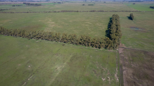 Campo En Venta Mixto 188ha San Andres De Giles