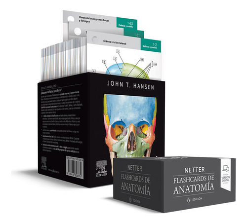 Netter Flashcards De Anatomia 6   Ed, De Hansen. Editorial E