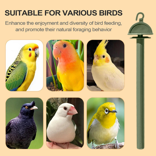 Pet Pet Bird Cage Juguete De Rectificador De Pájaros De Pája