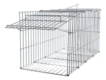 Comprar Armadilha Gatos Gatoeira Grande Dobravel Porta Automática
