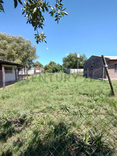 Venta Terreno En Andino