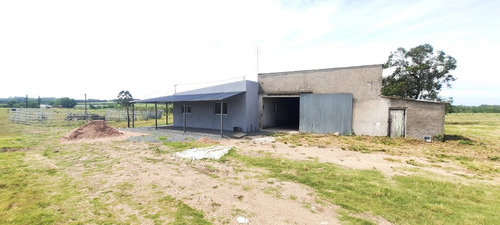 Tomeo Vende Casa En Camino 4 Piedras, Ruta 5!!!