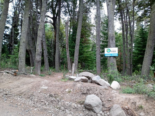 Venta De Lote Arbolado En Villa Traful Patagonia Argentina