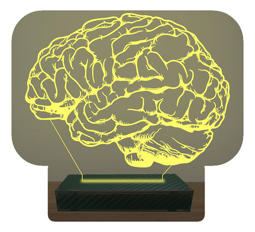 Luminária Led 3d Cérebro Neurologista Médico Abajur Luxo Nfe