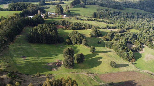 Imagen 12 de 16 de Campito De 7ha Mirador Del Mañio - Los Muermos