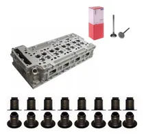 Comprar Cabecote Motor Compativel Iveco Daily Euro 3 2008 A 2011