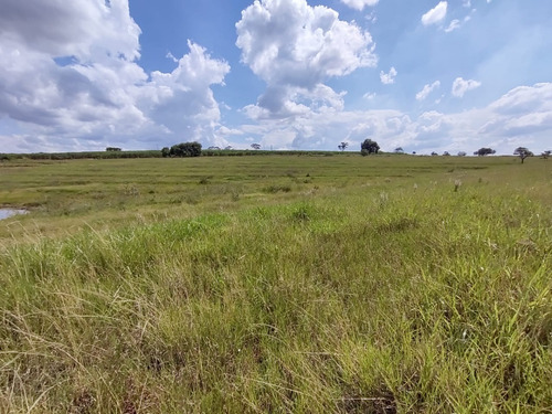 Imagem 3 de 8 de Sítio De 7,5 Alqueires Para Cana Entre Orindiuva E Paulo De Faria