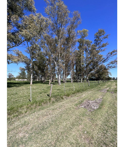 Lote Ubicado A 700 Metros Ruta 41 - San Miguel Del Monte