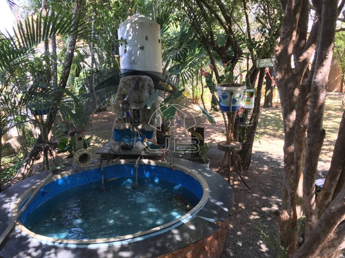 Imagem 8 de 22 de Chácara À Venda Em Chácara Três Marias - Ch010529