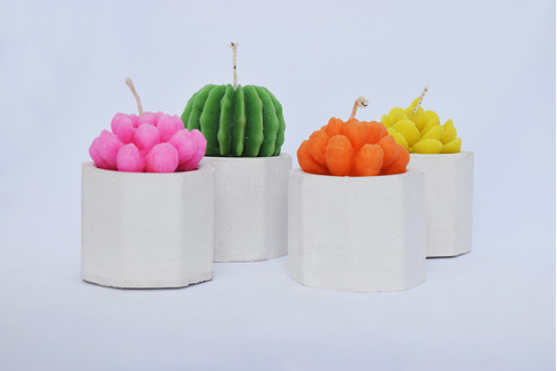 Set De 4 Velas De Suculenta