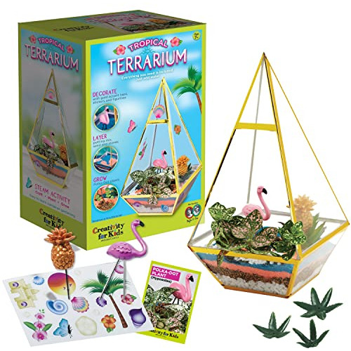 Kit De Manualidades De Terrario Tropical - Kit De Terra...