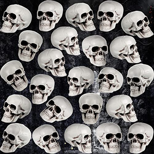 Decoración De Cráneos De Halloween, Cráneos Realista...