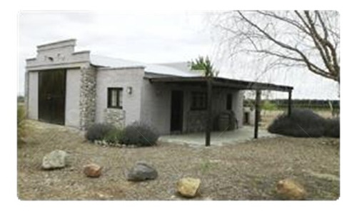 Imagen 4 de 22 de Viñedo Premium De Altura En Mendoza En Venta Sobre Fracción De 23 Has - Oportunidad