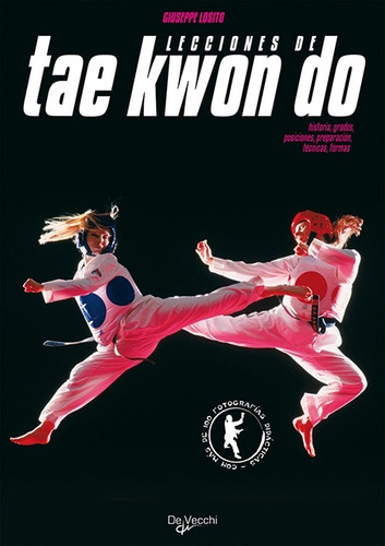 Lecciones De Tae Kwon Do - Losito G