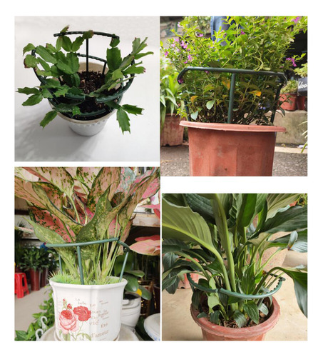 Estacas De Soporte Para Plantas, Soporte Para Plantas En Mac