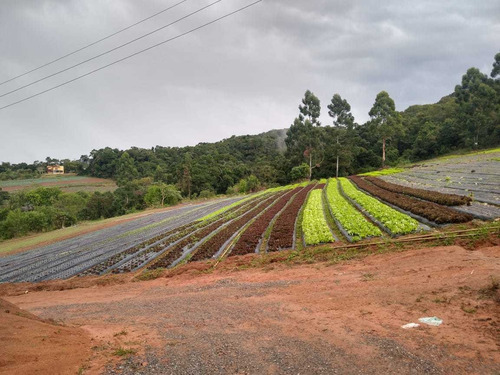 L.s -terrenos Para Formaçao De Chacaras Em Ibiuna Sp