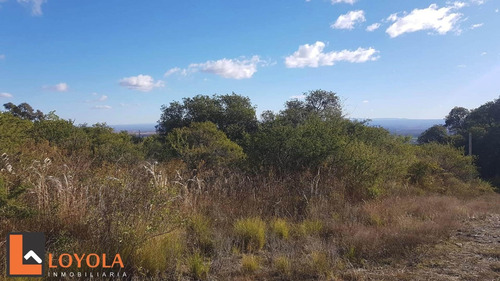 Imagen 2 de 30 de Carpintería, Lotes De 5000 M2