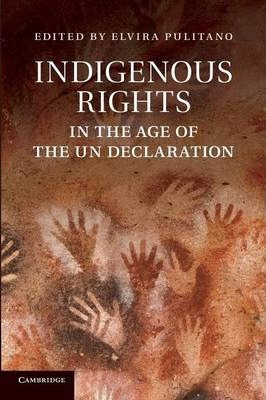Libro Indigenous Rights In The Age Of The Un Declaration ...
