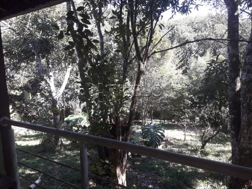 Imagem 4 de 15 de Venda Chacara -linda Chacara Com Pomar, Campo De Futebol- Mogi Das Cruzes - V-2842