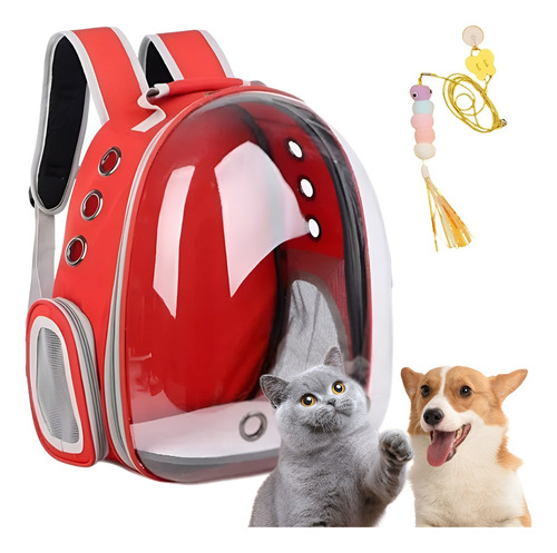 Mochila Back Pack Transportadora Gato Perro Mascota Pequeña