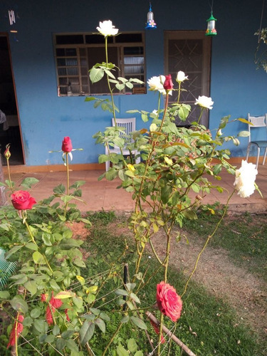 Casa À Venda Na Alameda Barão De Limeira, Campos De Atibaia, Atibaia - Sp - Liv-12726