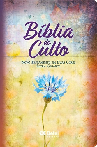 Bíblia Do Culto Feminina Metalizada S/ Harpa, De A Betel. Editora Betel Em Português