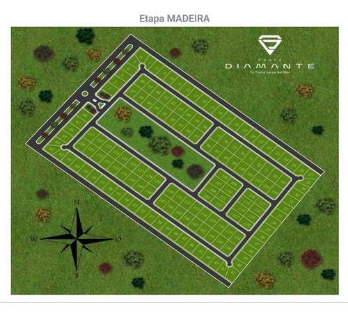 Lotes Madeira En Pre-venta