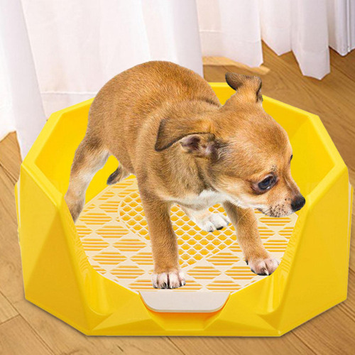 Almohadilla Para Ir Al Baño Para Perros, Soporte Amarillo