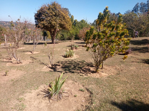 Imagem 10 de 14 de Belíssima Chácara Escriturada Com Excelente Topografia