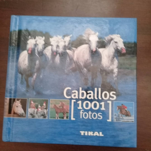 1001 Fotos De Caballos