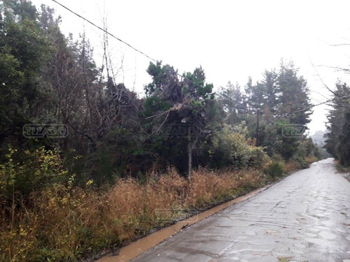 Imagen 1 de 6 de Terreno Lote En Venta Ubicado En Península San Pedro, Bariloche
