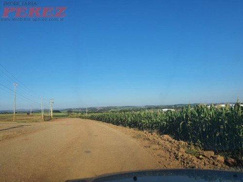 Imagem 12 de 24 de Chácaras_sítios_fazendas Para Venda - 13650.8047