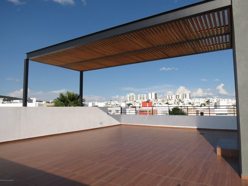 Imagen 12 de 13 de Fray Junipero Serra Cas Ane Condominio 3 Recamaras Jardin Roof Garden
