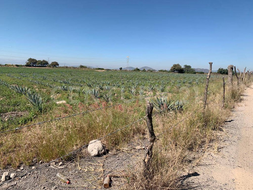 Terreno De 39 Hectareas ! Acatlán De Juarez Frente A Aceros Ocotlan.