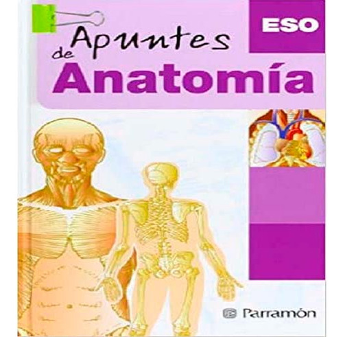 Apuntes De Anatomía