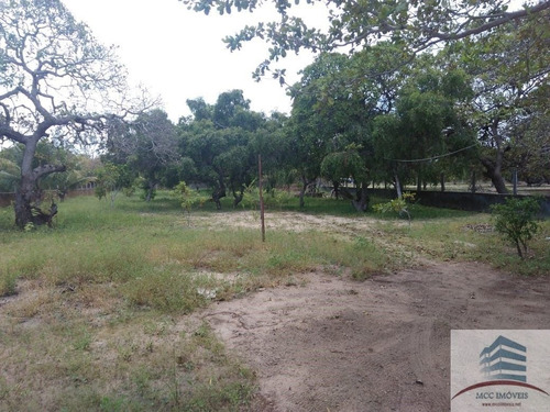 Imagem 5 de 8 de Granja A Venda São Gonçalo Do Amarante