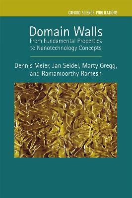 Libro Domain Walls : From Fundamental Properties To Nanot...