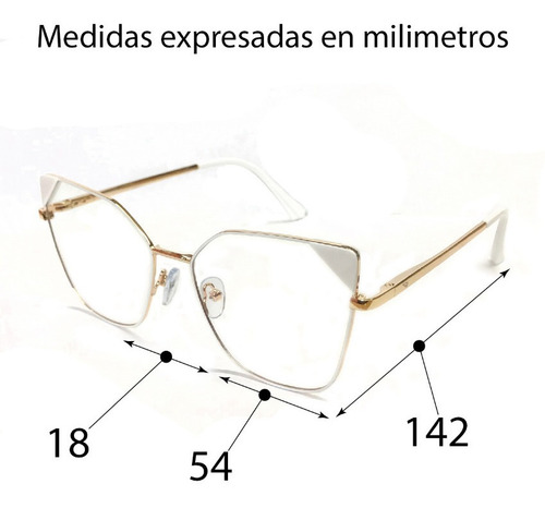 Lentes Sol Clipon Anteojos Metal Chiaroscuro Greta