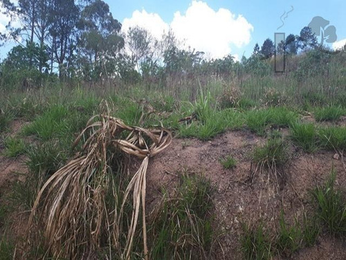 Imagem 1 de 1 de Cód 4007 - Terreno De 1.500 M² Em Ótimo Bairro - 4007